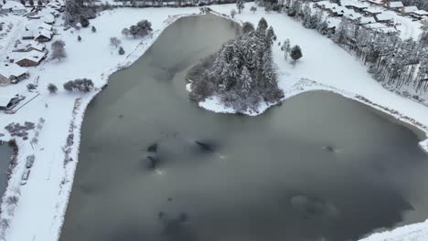 vista aérea de un gran estanque rodeado de barrios suburbanos