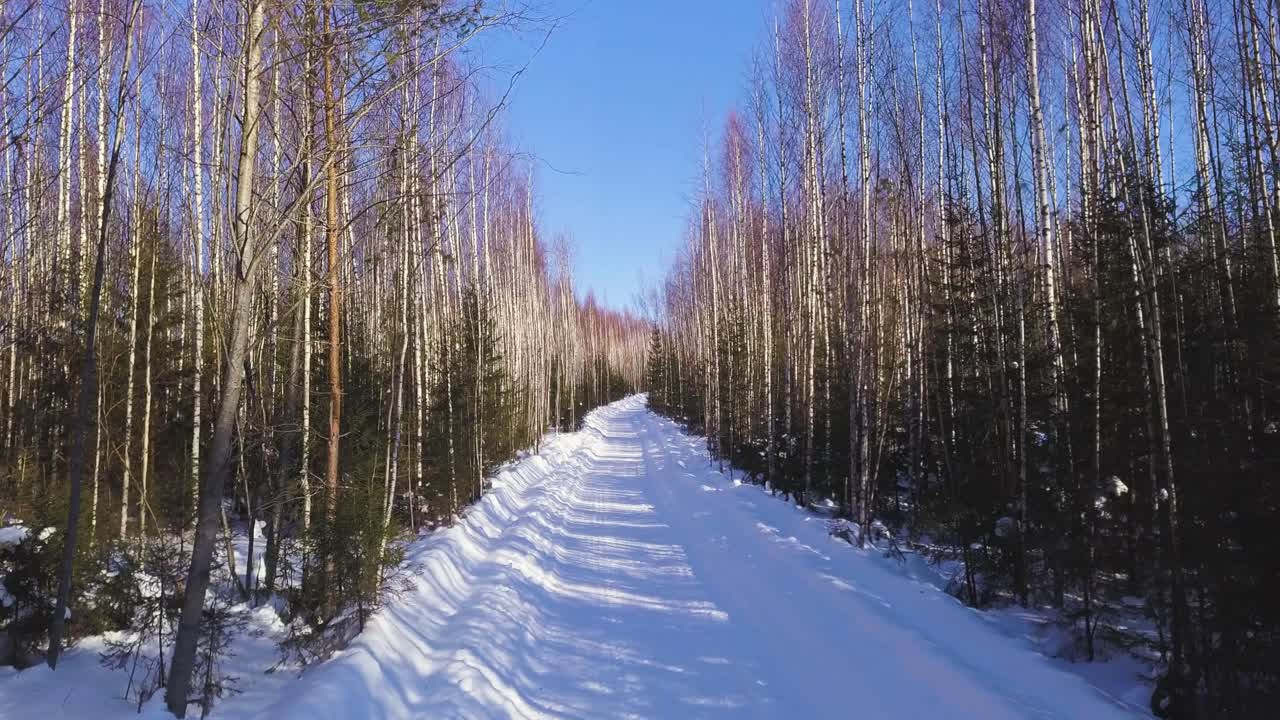 겨울에 눈 인 숲길