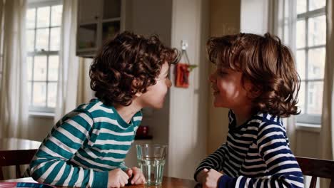 two brothers having a conversation at the dinner table