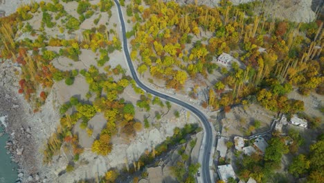 una perspectiva aérea captura una carretera serpenteante en medio de un vibrante paisaje de otoño con un follaje cambiante