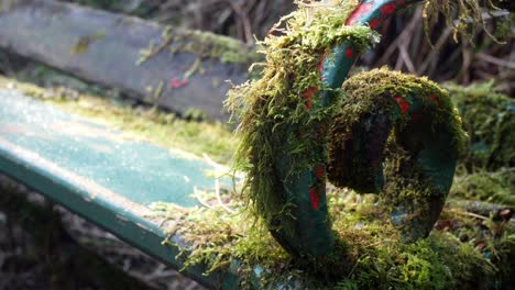 mossy overgrown weathered green curled wrought iron wooden bench forgotten in woodland forest dolly left closeup