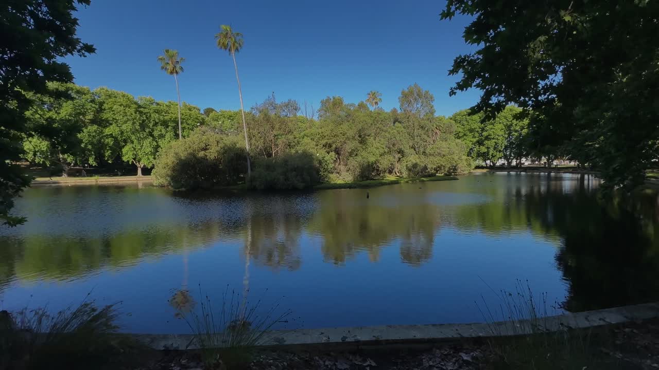 4K Hyde Park Perth, danau, pohon hijau, oasis dalam kota, tepi kiri dengan pohon palem