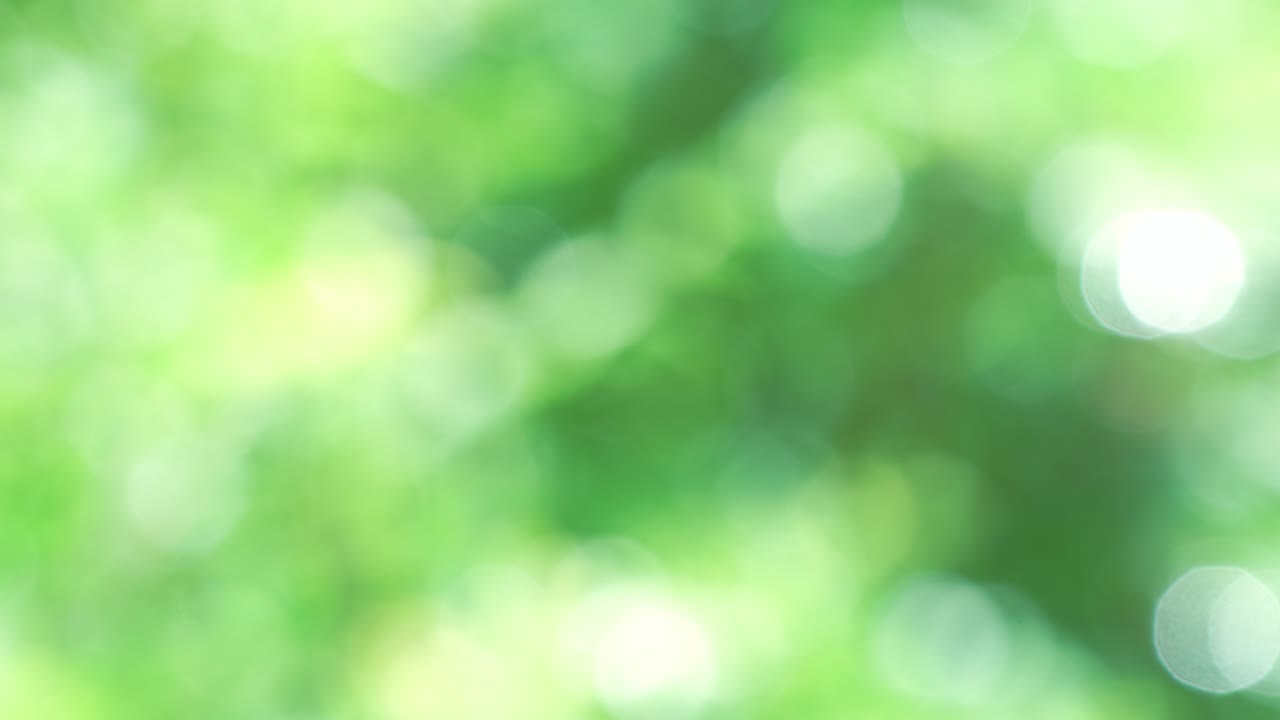 緑の葉の自然の景色 ぼんやりした緑の背景 抽象的な自然の緑のぼんやりとした背景