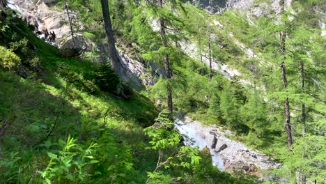 pan shot of forest trees growing on mountain hill and flowing waterfall in the valley