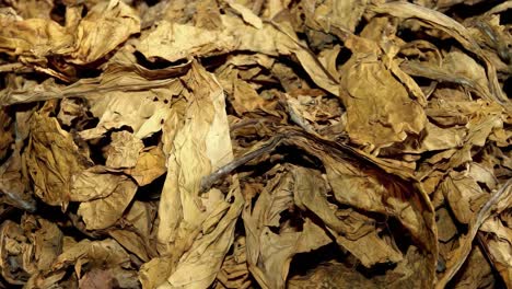 dried tobacco herbs as background