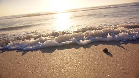 les vagues mousseuses embrassent le rivage de sable sous un coucher de soleil doré avec l'espace de copie