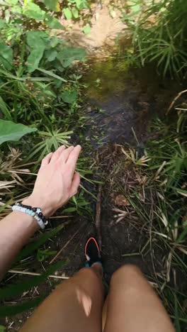 hiking in a lush tropical forest