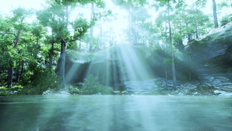 a magical forest scene with sun rays shining through the trees