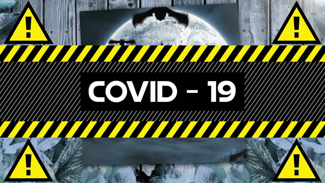 анимация предупреждающего текста ковид-19, над летучими мышами, кладбищем и луной