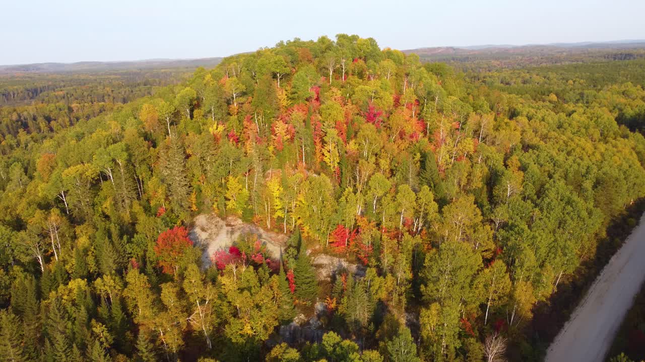 vista aérea del bosque de montaña con árboles en colores de otoño