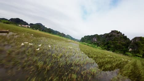 Cinematic-aerial-FPV-drone-swoops-above-flooded-rice-paddy-reflecting-sky,-Tamcoc-Vietnam