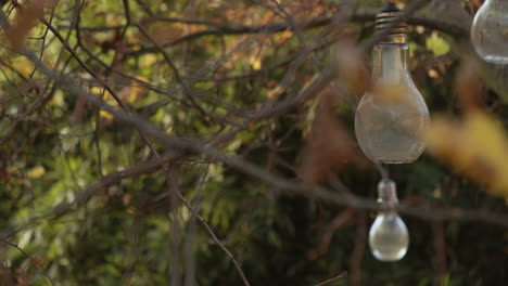 Slow-camera-movement-around-solar-bulbs-hanging-in-the-tree-branches