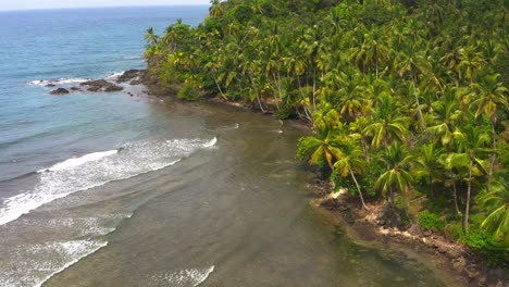 Aerial-view-above-exotic-island-palm-tree-coral-reef-coastline-waves-heading-to-sandy-shore