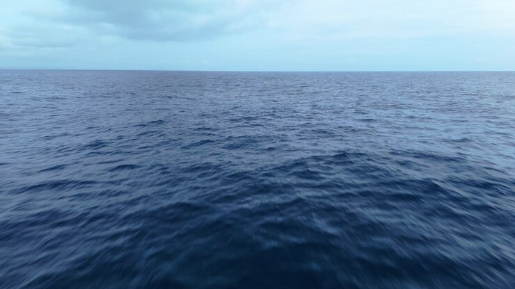 Soar above deep blue tropical ocean water, a perfect backdrop under overcast sky