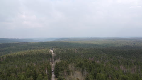vista de lapso de tiempo desde arriba del bosque de schwarzwald en baden-württemberg alemania