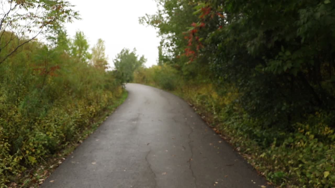 푸른 숲길을 혼자 걷는 관광객