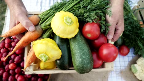 organic vegetables at the local farmer's market