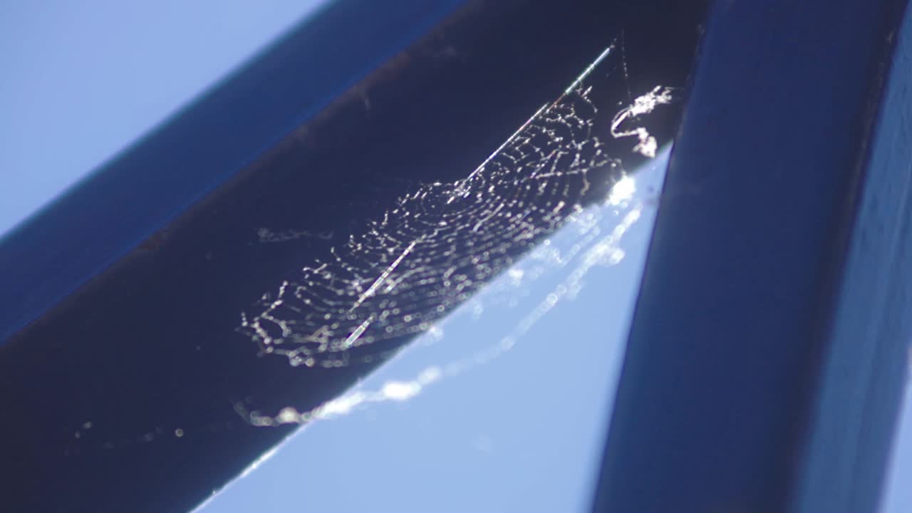 Spider Web On The Corner Of The Window Moving In The Wind. - low angle shot