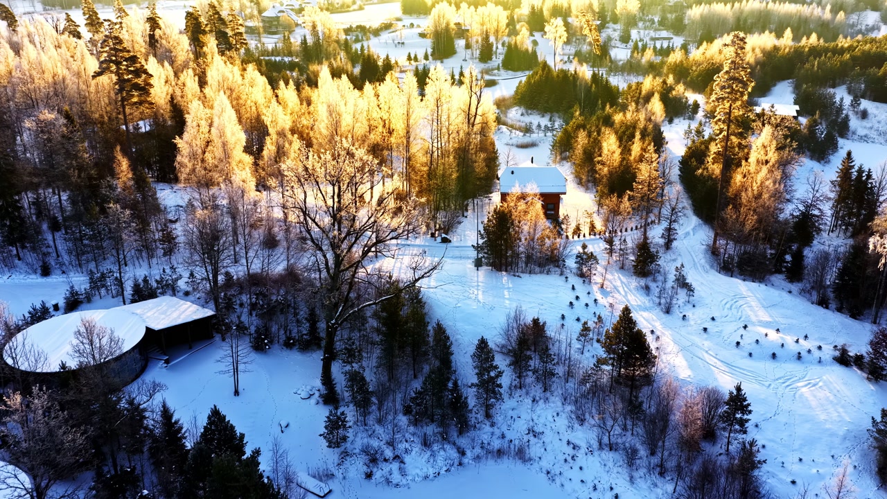 Aerial Establishing of Secluded Houses in Snowy Forest Golden Hour Winter Landscape