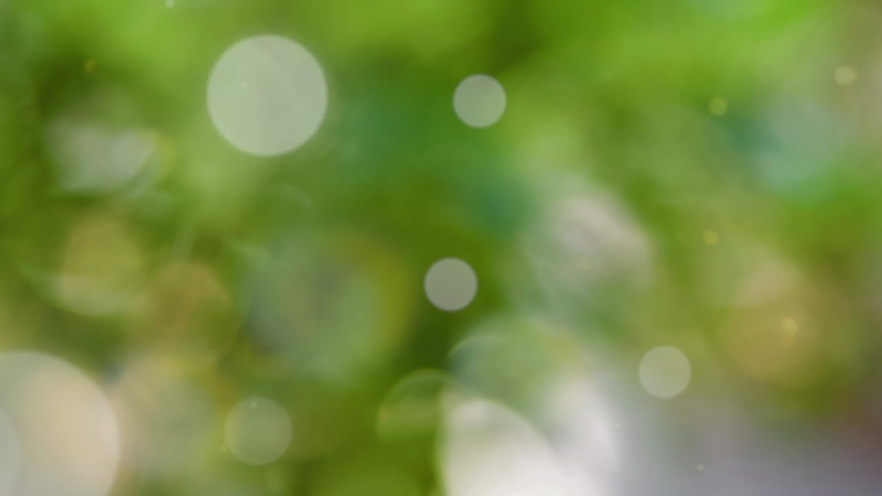 fondo de verano abstracto con bokeh