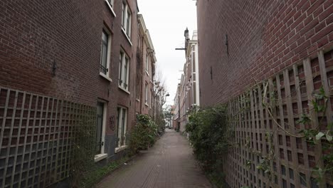 small street through residential neighborhood in amsterdam