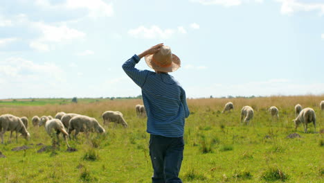 vista trasera de un adolescente caucásico con sombrero caminando al aire libre en el campo y cuidando el rebaño de ovejas