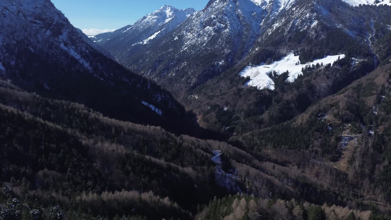 vista aérea del bosque de pinos inclinado hacia arriba revelando una enorme cumbre cubierta de nieve en el fondo