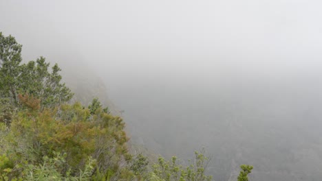 panorámica en la montaña brumosa, panorámica dinámica