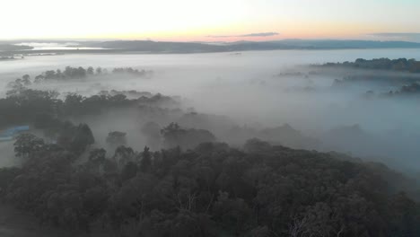 Luftaufnahmen-Des-Frühen-Morgennebels-über-Dem-Australischen-Busch-Kurz-Vor-Sonnenaufgang