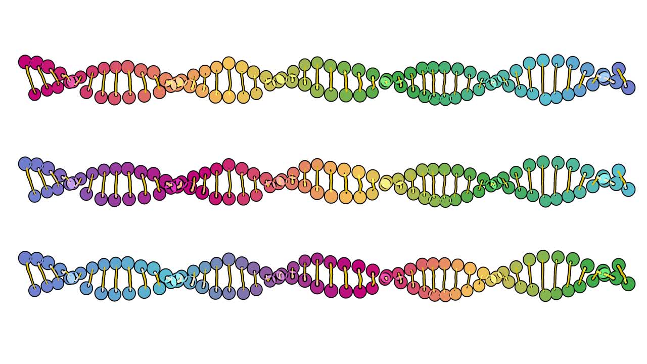 visualización en color del análisis de adn aislado en fondo blanco animación de rotación 3d, para montaje y capacitación médica