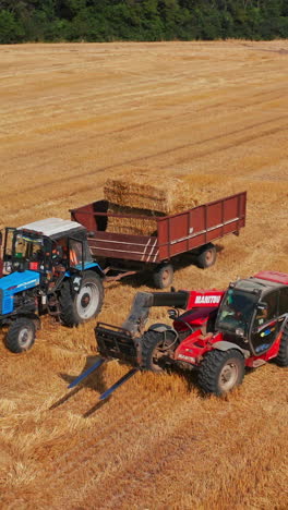 summer yellow field farming by tractor. industrial golden wheat big combine. vertical video