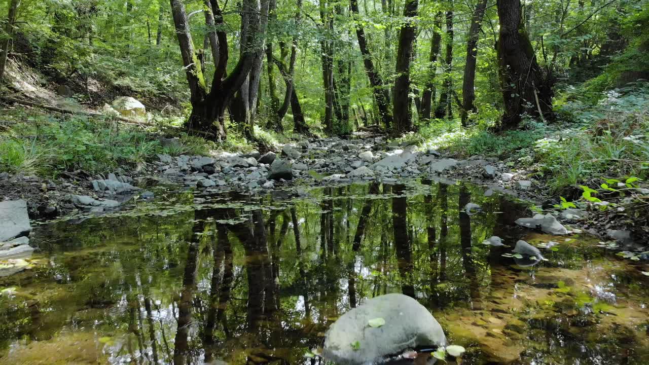 숲 속의 작은 강의 매우 낮은 드론 영상, 느린 하류 움직임, 여름 시간, tzarevo, 불가리아-1