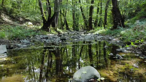 Very-low-drone-footage-of-small-river-in-the-forest,-slow-downstream-movement,-summer-time,-Tzarevo,-Bulgaria-1