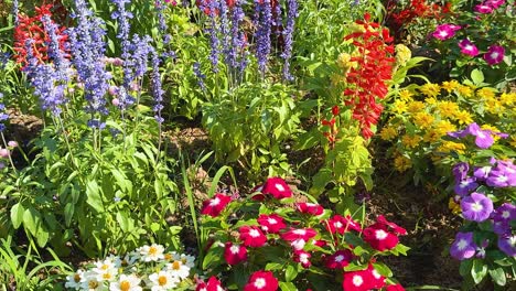 colorful flowers bloom in a lush garden