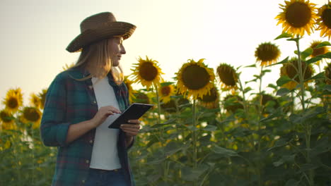 La-Cámara-Sigue-Y-Mueve-A-Una-Agricultora-Con-Una-Tableta.-El-Granjero-Se-Pone-Delante-De-La-Cámara-Con-Una-Tableta-Y-Utiliza-Tecnología-Moderna-Para-Su-Pequeña-Empresa