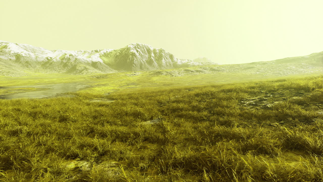 explorando un paisaje alienígena sereno durante un día de niebla en otro planeta