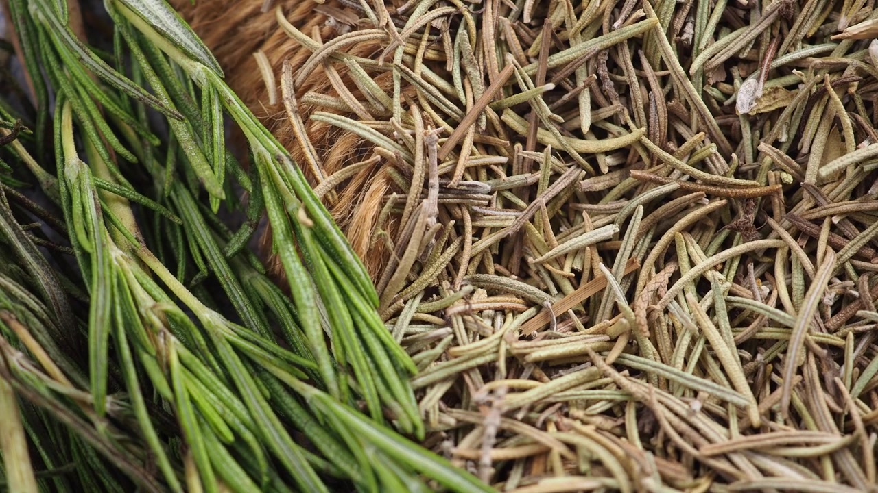 Fresh and Dried Rosemary Sprigs Side by Side