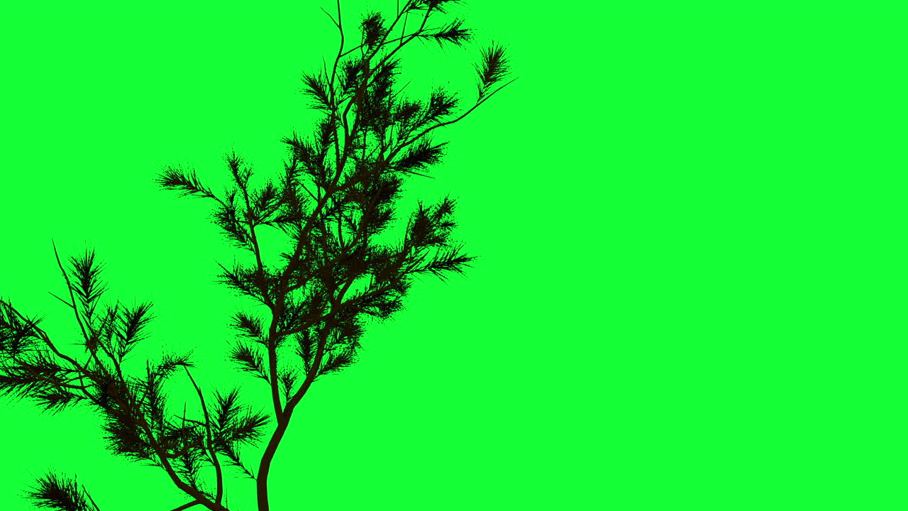 Tree with Flames on Green Screen