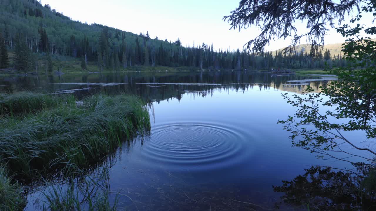 Still shot of rocking falling into water creating ripples on calm lake