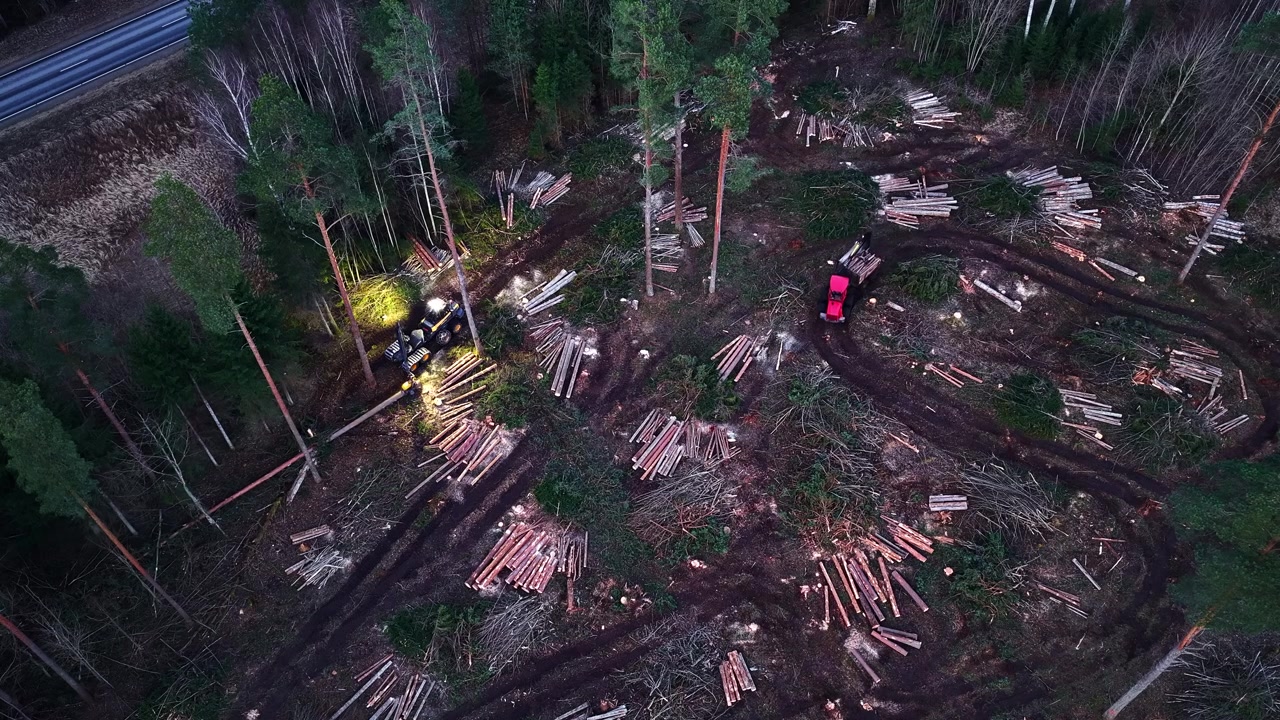 Forwarder and harvester clearing a pine forest during nighttime logging in aerial view