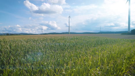 Reveal-shot-over-lush-green-cornfield-in-sunshine-with-wind-turbines-in-background
