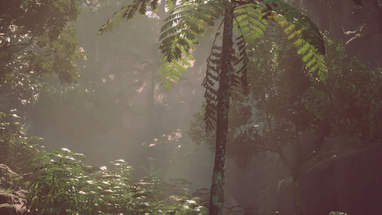 마법에 사로잡힌 외로운 수호자, 웅장한 나무가 정글의 옥상 한가운데서 아오른다.