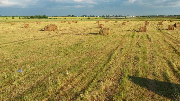 vista aérea de balas de heno en un campo