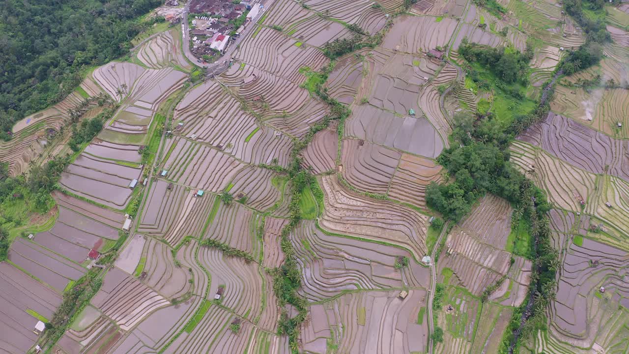 Fantastic Aerial View of Jatiluwih Rice Terrace in Mountains of Bali, Indonesia. 4K Drone