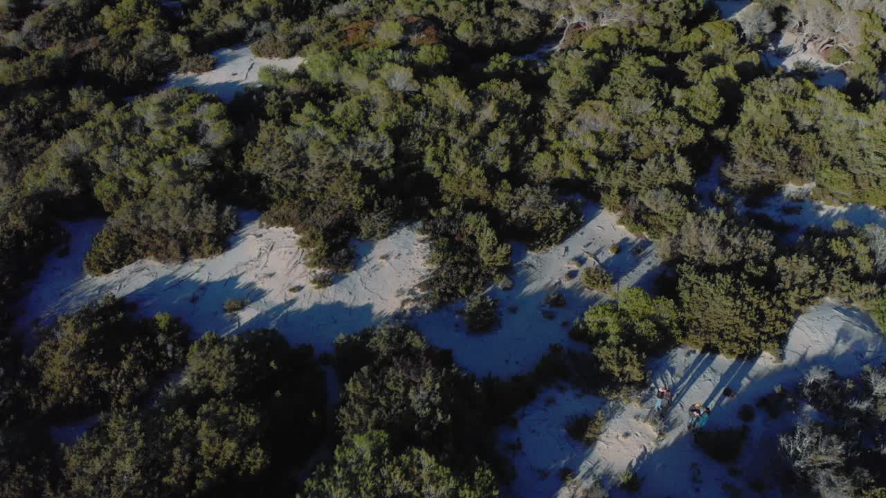 산책자 들 이 있는 숲 길 의 공중 사진