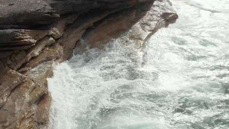 clovelly sydney australia의 해변과 바위 질감