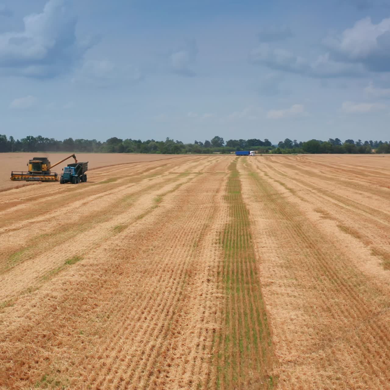 Full uploaded tractor goes slowly by the farmlands. Another tractor being downloaded with grain from yellow harvester