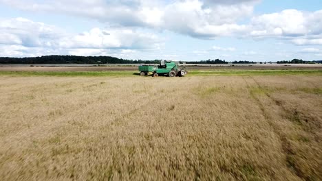 Aerial-view-of-a-green-vintage-combine-harvester-mows-wheat-in-the-field-for-the-food-industry,-yellow-reap-grain-crops,-sunny-summer-day,-fast-ascending-forward-moving-shot