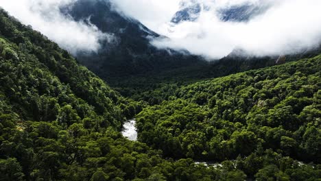 sunlight shines down on tropical forest and winding river valley with low clouds across mountains