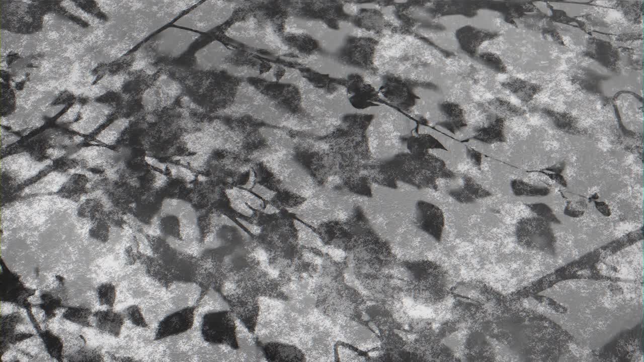 luz solar moteada en un fondo de superficie negra